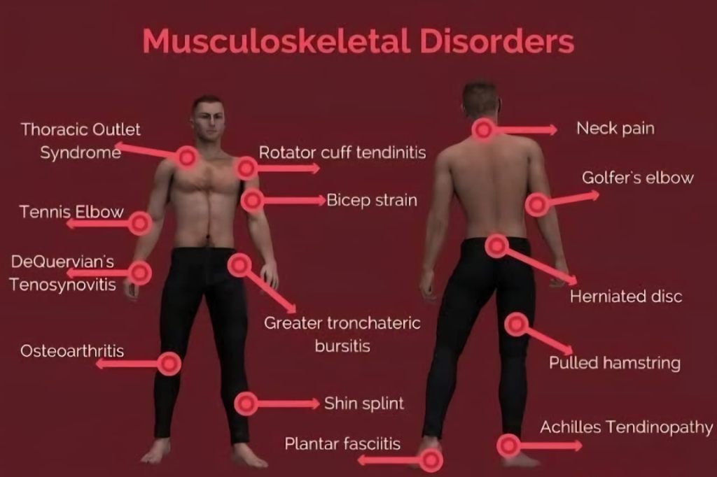 Ayurvedic Treatment for Musculoskeletal Disorders: Natural Relief for Joint and Muscle Pain